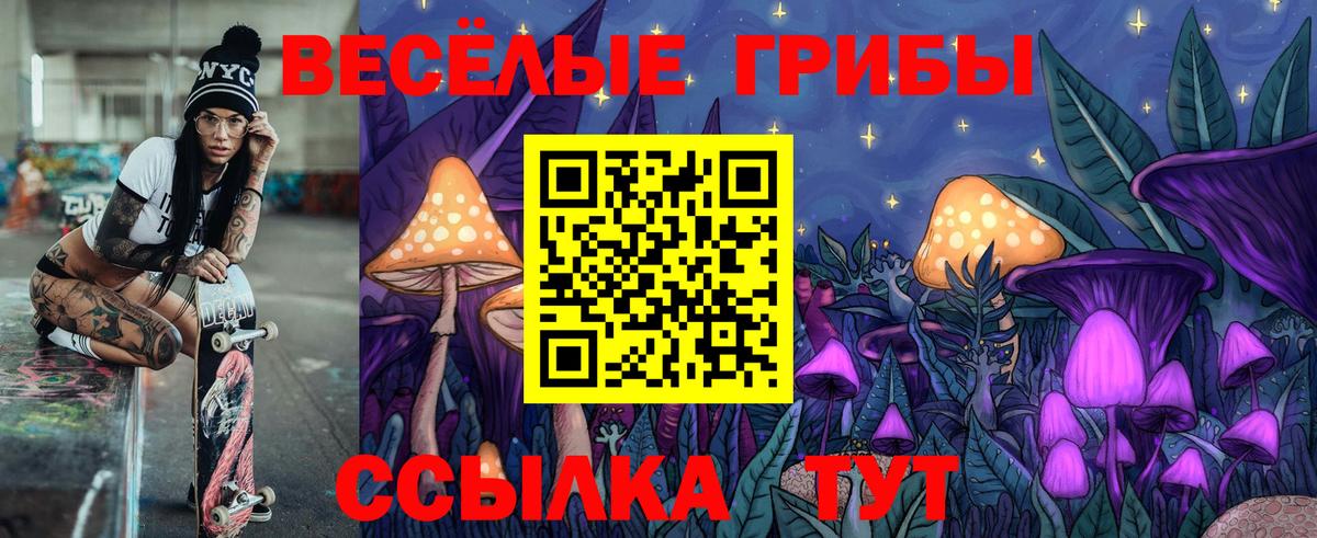 Артём  дарнет шоп  Вход с VPN  Галлюциногенные грибы мицелий 